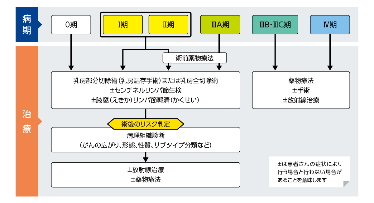 乳がんの病期（ステージ）と治療の選択